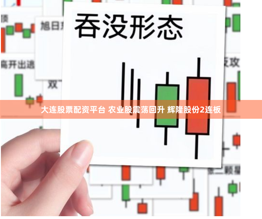 大连股票配资平台 农业股震荡回升 辉隆股份2连板
