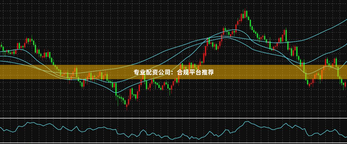 专业配资公司:合规平台推荐